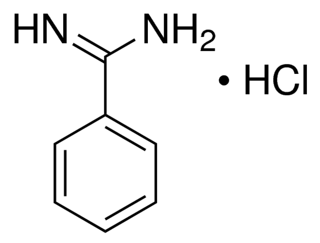 苯甲脒盐酸盐[苄脒盐酸盐,benzamidine hydrochloride;99%