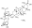 图片 甘草酸铵盐来源于甘草根 (甘草)，Glycyrrhizic acid ammonium salt from glycyrrhiza root (licorice)；≥70% (HPLC)