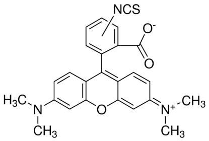 图片 异硫氰酸四甲基罗丹明混合异构体，Tetramethylrhodamine isothiocyanate mixed isomers [MRITC, TRITC]；suitable for fluorescence, mixture of isomers