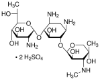 图片 G418二硫酸盐 [遗传霉素硫酸盐]，G-418 disulfate salt；potency ≥730 µg/mg and purity: ≥98%., Calbiochem®