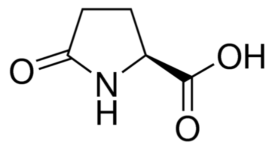 图片 L-焦谷氨酸，L-Pyroglutamic acid；BioXtra, ≥97% (titration)