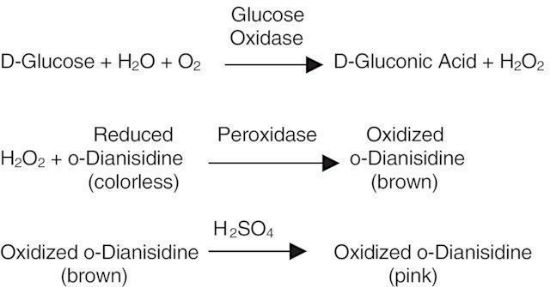 图片 葡萄糖氧化酶来源于黑曲霉，Glucose Oxidase from Aspergillus niger [G.Od., GOx]；Type II, ≥10,000 units/g solid (without added oxygen)