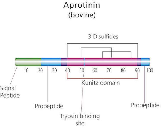 图片 抑肽酶来源于牛肺，Aprotinin from bovine lung [BPTI]；lyophilized, ~80% (HPCE), crystalline (fine), white, ≥3500 U/mg