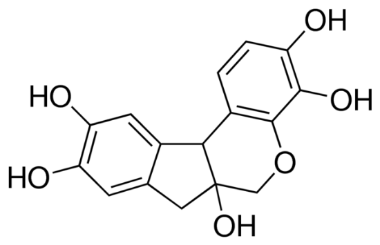 图片 苏木精 [苏木素]，Hematoxylin；powder