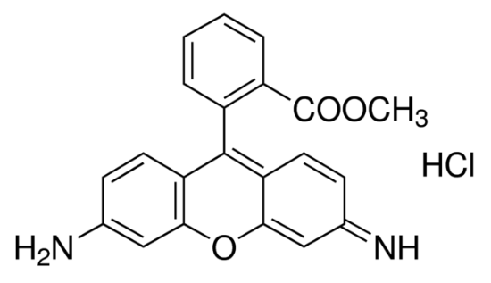 图片 罗丹明123，Rhodamine 123；BioReagent, for fluorescence, ≥85% (HPLC)