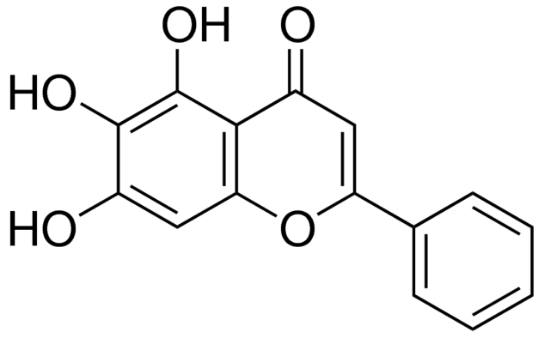 图片 黄芩素，Baicalein；analytical standard, ≥95.0% (HPLC)