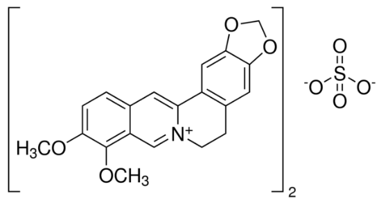 图片 小檗碱半硫酸盐 [硫酸小檗碱]，Berberine hemisulfate salt；≥95%