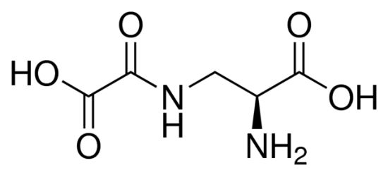 图片 三七素，β-ODAP [BOAA]；≥98% (HPLC)