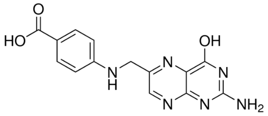 图片 蝶酸，Pteroic acid；≥93%