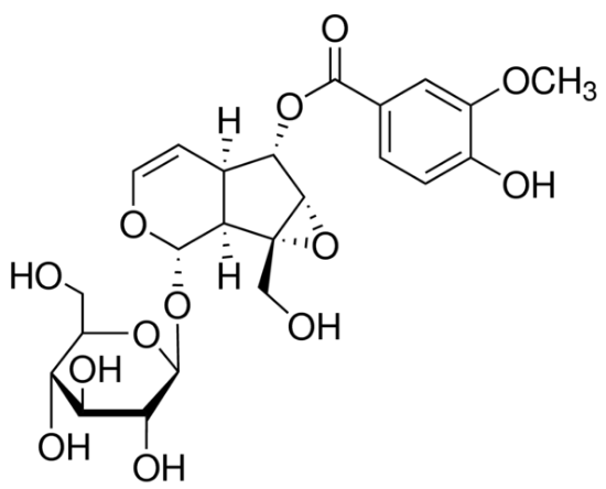 图片 胡黄连苷II，Picroside II；≥98% (HPLC)