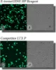 图片 DNA转染试剂，X-tremeGENE™ HP DNA Transfection Reagent；High-performance polymer reagent for transfecting many cell lines