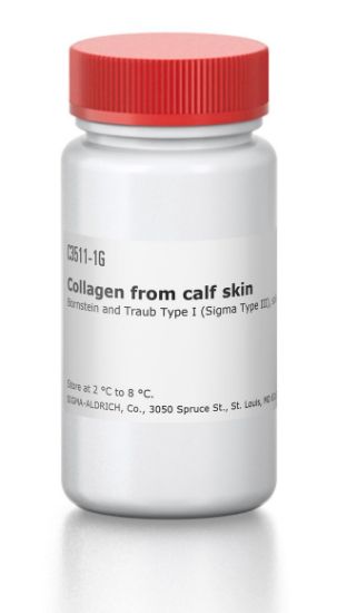 图片 胶原蛋白I型来源于小牛皮，Collagen from calf skin；Bornstein and Traub Type I (Sigma Type III), solid