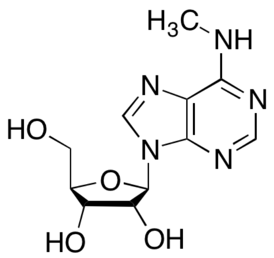 图片 N6-甲基腺苷，N6-Methyladenosine