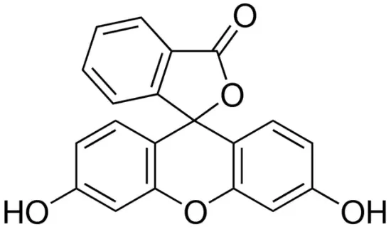 图片 荧光素，Fluorescein (free acid)；Dye content 95 %