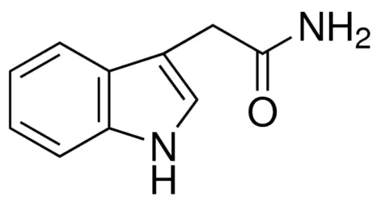 图片 吲哚-3-乙酰胺，Indole-3-acetamide；98%