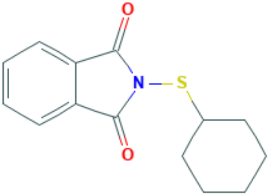 图片 N-(环己硫基)邻苯二甲酰亚胺，N-(Cyclohexylthio)phthalimide [CTP]