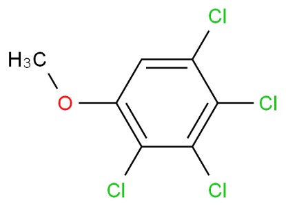 图片 2,3,4,5-四氯甲氧基苯，2,3,4,5-Tetrachloroanisole