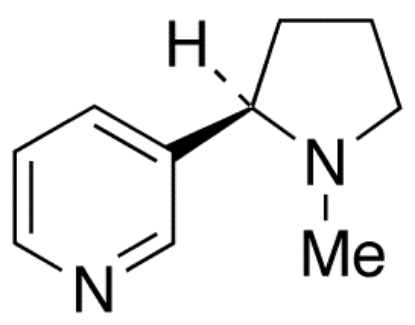 图片 R-(+)-尼古丁，R-(+)-Nicotine