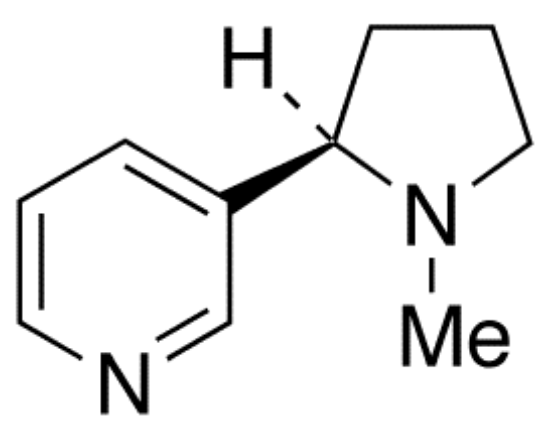 图片 R-(+)-尼古丁，R-(+)-Nicotine