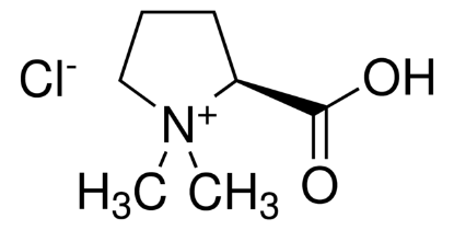 图片 盐酸水苏碱，Stachydrine chloride；phyproof® Reference Substance, ≥95.0% (HPLC)