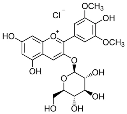 图片 氯化锦葵色素3-葡萄糖苷 [氯化茴香酚]，Oenin chloride；phyproof® Reference Substance, ≥95.0% (HPLC)