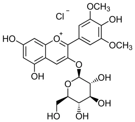 图片 氯化锦葵色素3-葡萄糖苷 [氯化茴香酚]，Oenin chloride；analytical standard, ≥95.0% (HPLC)