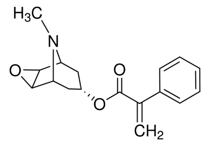 图片 阿相东莨菪碱，Aposcopolamine；phyproof® Reference Substance, ≥90.0% (HPLC)