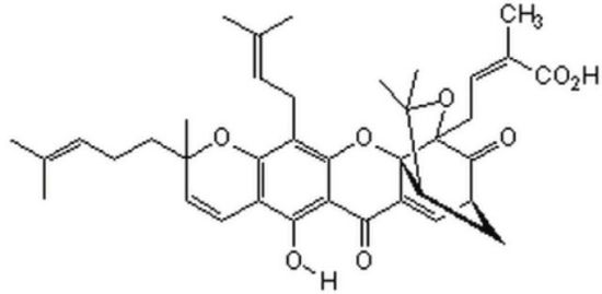 图片 藤黄酸，Gambogic acid；≥95% (TLC)