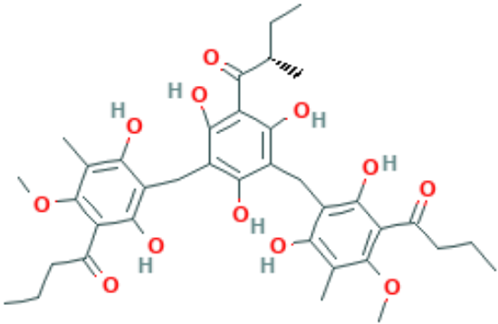 图片 仙鹤草酚B，Agrimol B；≥99%(HPLC)