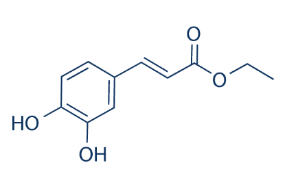 图片 咖啡酸乙酯，Ethyl caffeoate