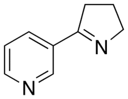 图片 3-(3,4-二氢-2H-吡咯-5-基)吡啶 [麦斯明]，Myosmine