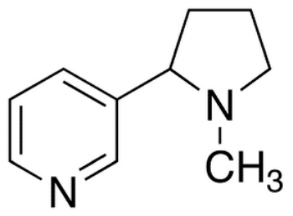 图片 (+/-)-尼古丁，rac-Nicotine