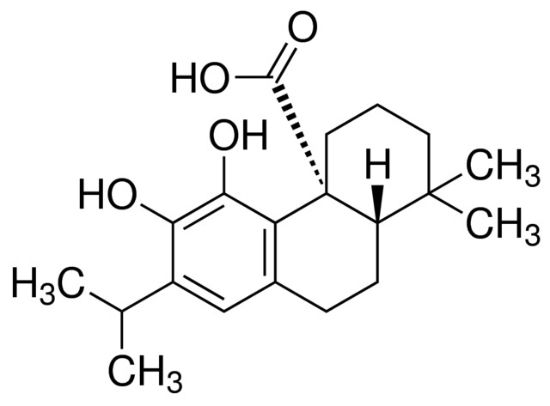 图片 鼠尾草酸来源于迷迭香，Carnosic acid from Rosmarinus officinalis；≥91%, powder