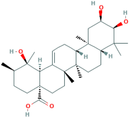 图片 野鸦椿酸，Euscaphic Acid