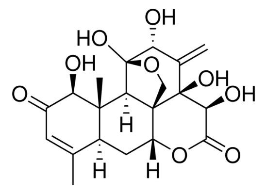 图片 宽缨酮，Eurycomanone；phyproof® Reference Substance, ≥90.0% (HPLC)