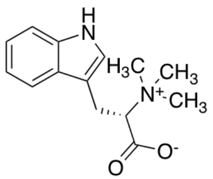 图片 刺桐碱，Hypaphorine