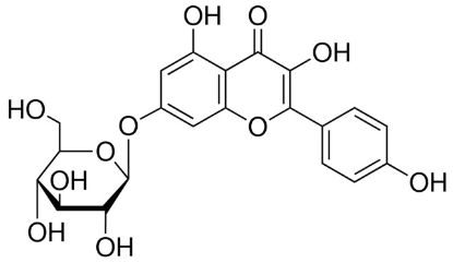 图片 山奈酚-7-O-葡萄糖苷，Kaempferol 7-O-β -D-glucopyranoside；≥90.0% (HPLC)