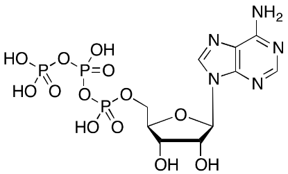 图片 5'-三磷酸腺苷，Adenosine triphosphate [5'-ATP]