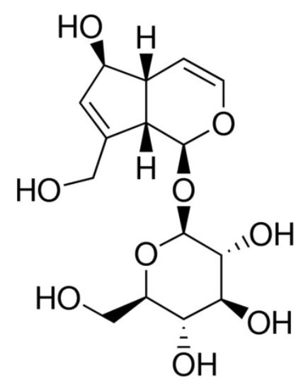 图片 桃叶珊瑚苷，Aucubin；primary reference standard