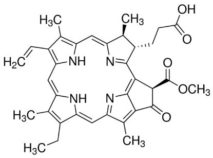 图片 脱镁叶绿酸a，Pheophorbide-a；≥90% (HPLC)