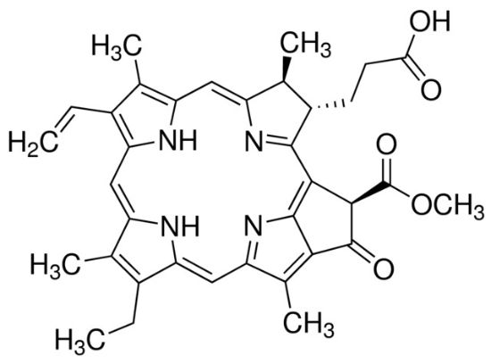 图片 脱镁叶绿酸a，Pheophorbide-a；≥90% (HPLC)