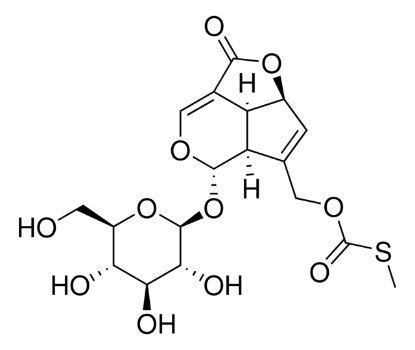 图片 鸡屎藤苷，Paederosidic acid g-lactone；≥90% (LC/MS-ELSD)