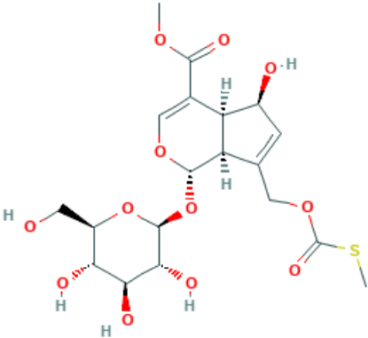 图片 鸡屎藤苷酸甲酯，Paederosidic acid methyl ester；≥99%(HPLC)