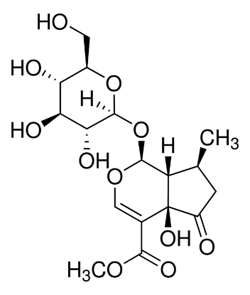 图片 5-羟基马鞭草苷，Hastatoside；phyproof® Reference Substance, ≥90.0% (HPLC)