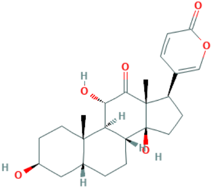 图片 沙蟾蜍精，Arenobufagin；≥98%(HPLC)