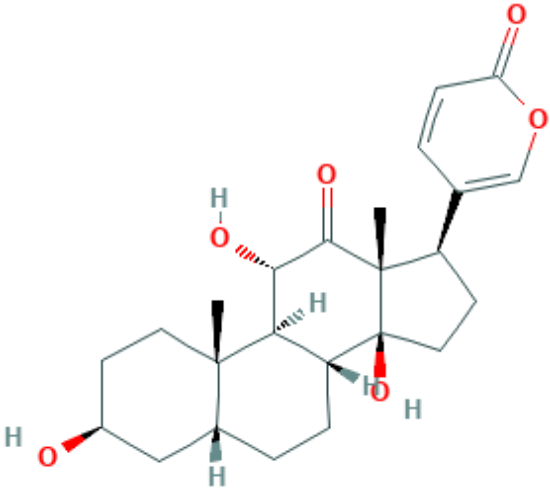 图片 沙蟾蜍精，Arenobufagin；≥98%(HPLC)