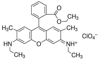 图片 罗丹明6G高氯酸盐，Rhodamine 6G perchlorate；Dye content 99 %