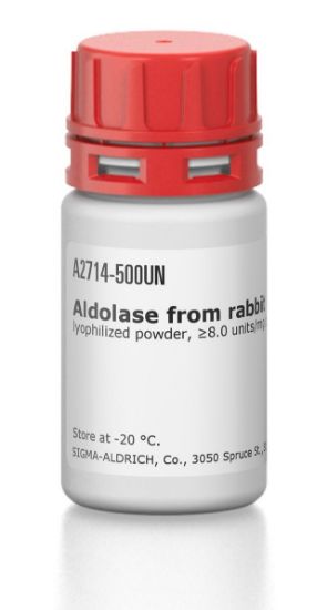 图片 醛缩酶来源于兔肌肉，Aldolase from rabbit muscle；lyophilized powder, ≥8.0 units/mg protein