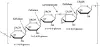 图片 Driselase崩溃酶™来源于担子菌纲，Driselase™ from Basidiomycetes sp.；powder, Protein ≥10 % by biuret