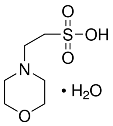 图片 2-吗啉乙磺酸一水合物 [MES一水合物]，MES monohydrate [2-Morpholinoethanesulfonic acid monohydrate]；buffer substance MES